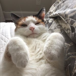 Meet your Posher, Alexandra